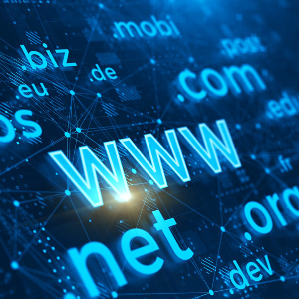 domain-search