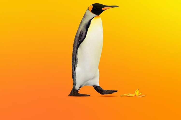 linux-hosting
